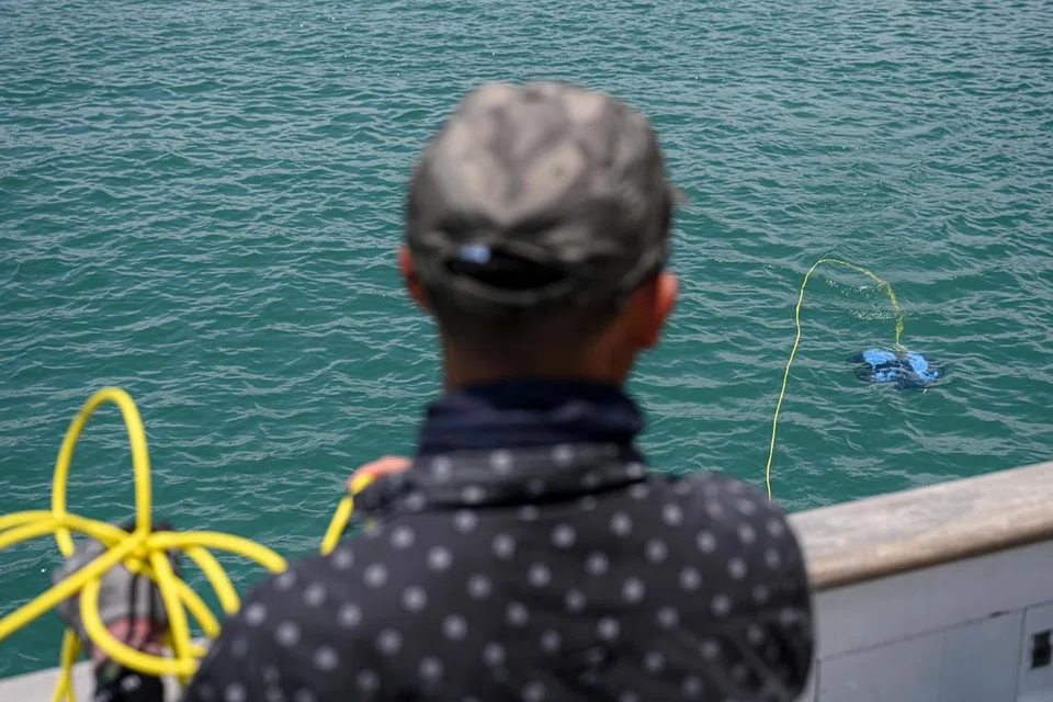 Penolong penyelidik Universiti Teknologi dan Reka Bentuk Singapura (SUTD), Encik Hoo Jun Jie, sedang melepaskan dron bawah air model BlueROV2 itu ke dalam laut. Bergantung kepada kekuatan gelombang pasang surut, dron tersebut boleh bertahan antara 2 hingga 5 jam.