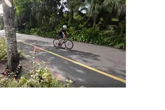 Seekor biawak benggala yang cuba melintasi satu laluan dilanggar oleh seorang penunggang basikal di Gardens by the Bay. 