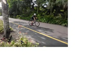 Seekor biawak benggala yang cuba melintasi satu laluan dilanggar oleh seorang penunggang basikal di Gardens by the Bay. 