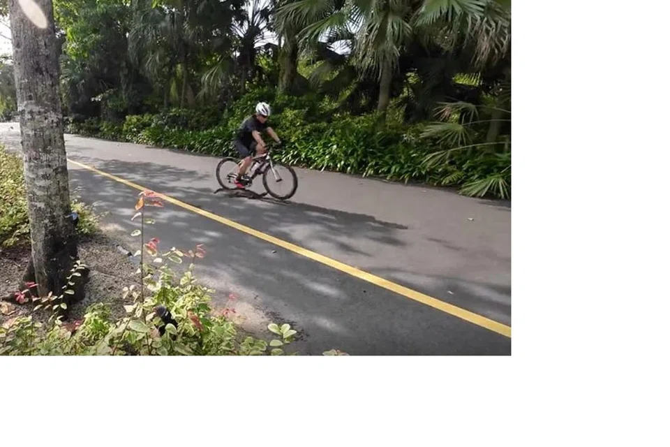 Seekor biawak benggala yang cuba melintasi satu laluan dilanggar oleh seorang penunggang basikal di Gardens by the Bay. 