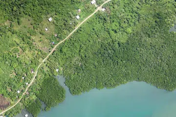 Menurut satu kajian baru, pemusnahan habitat di Borneo Malaysia mungkin membawa burung hijrah lebih dekat dengan komuniti manusia, memudahkan penyebaran penyakit antara burung liar dan manusia.