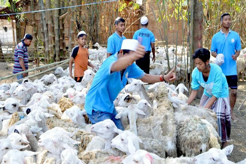 PELBAGAI PILIHAN: Vendor setempat yang menawarkan khidmat korban di luar negara termasuk di India, Indonesia (gambar atas) dan Malawi menjangkakan sambutan baik daripada masyarakat Islam tahun ini, dengan keperluan yang terdesak di pelbagai negara yang mereka tawarkan khidmat korban itu.- Foto-foto SMART QURBAN BY ZAHID & SHAH GRO, HAMZAH K. MOHAMED, ADLEE NAZREE SUPARMAN ,
