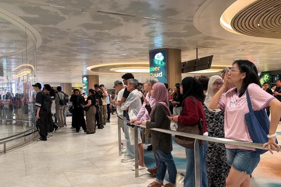 Singapore, Middle East, repatriation, Changi Airport, RSAF, Riyadh, SAF12