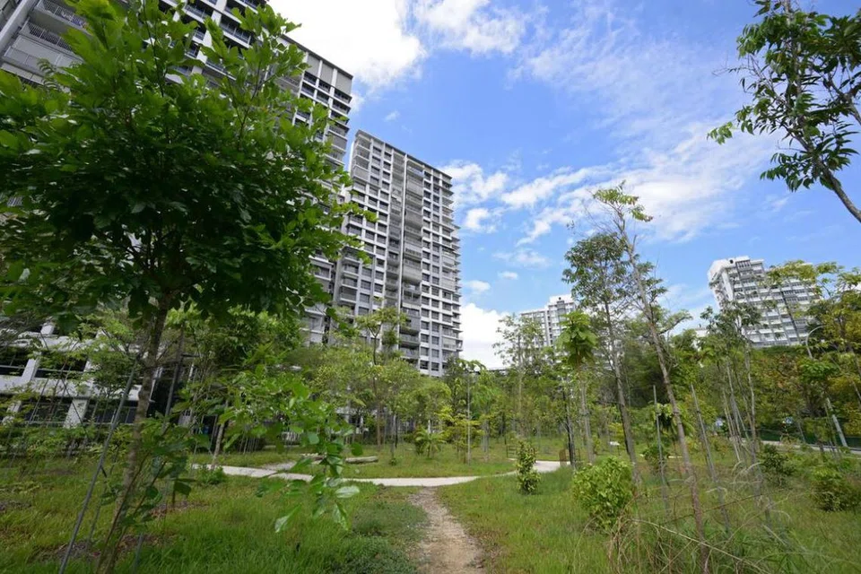 Taman Damai dibuka pada 3 Ogos 2024.