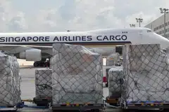 SIA, trafik, penumpang, Januari