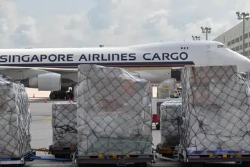 SIA, trafik, penumpang, Januari