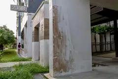 KURANG INDAH DIPANDANG MATA: Kulat yang tumbuh di luaran bangunan HDB di Matilda Court, Sumang Lane, kurang disenangi penduduk yang telah memuatnaik gambar ke media sosial. - 