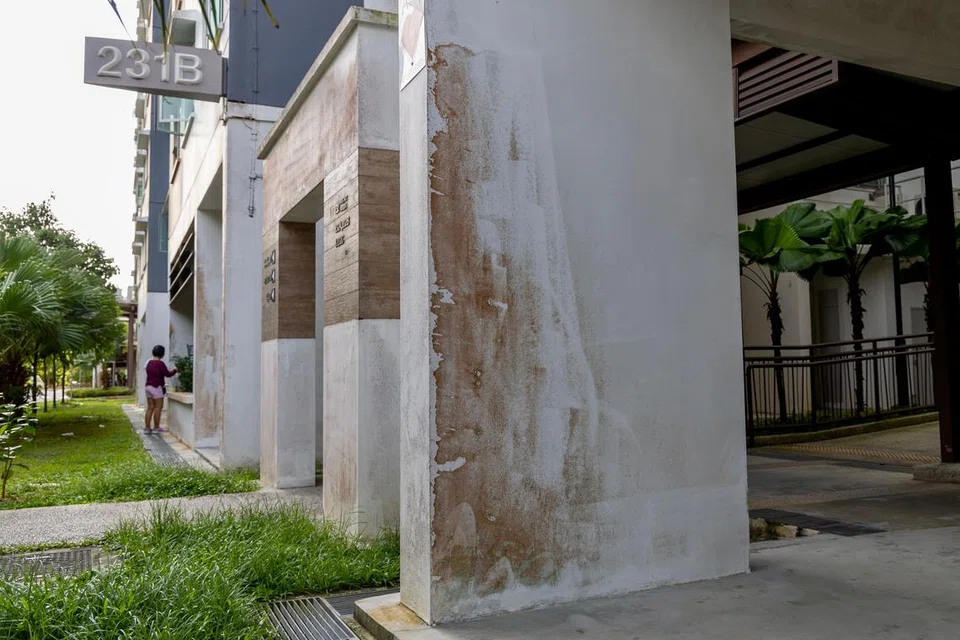 KURANG INDAH DIPANDANG MATA: Kulat yang tumbuh di luaran bangunan HDB di Matilda Court, Sumang Lane, kurang disenangi penduduk yang telah memuatnaik gambar ke media sosial. - 