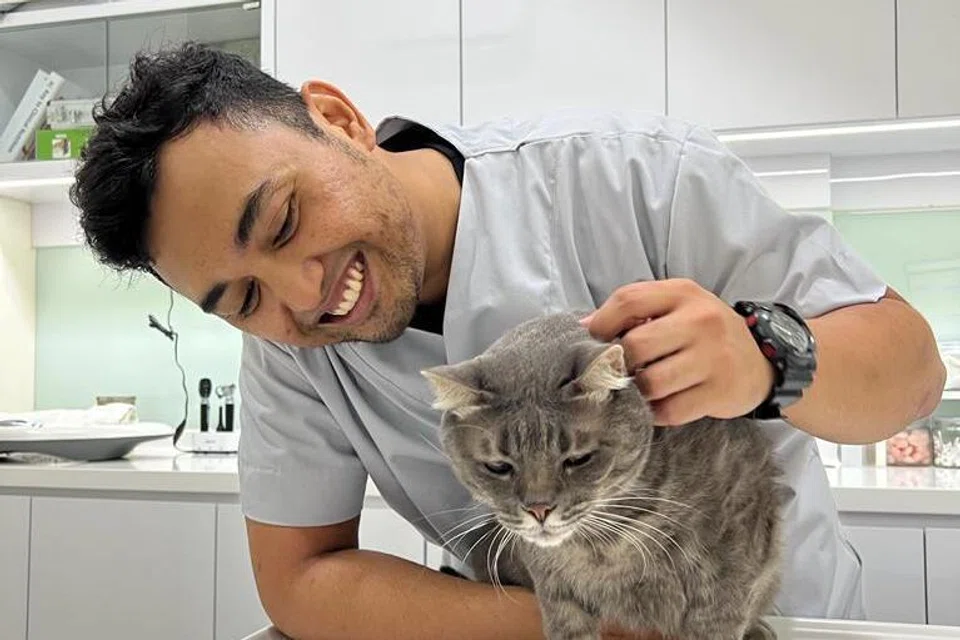 Juruteknik Veterinar Kanan di Brighton Vet Care, Encik Ahmat Sharezza Ahmat Ja’affar, berkata tekanan melampau yang dialami kucing semasa sesi dandanan boleh mencetuskan Feline Idiopathic Cystitis (FIC).