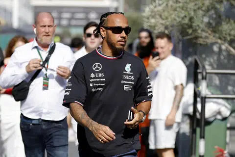 Pemandu Mercedes, Lewis Hamilton, berkata mana-mana pasukan akan gembira untuk memiliki ketua reka bentuk Red Bull, Adrian Newey. 