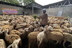 ibadah korban