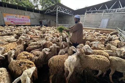 ibadah korban