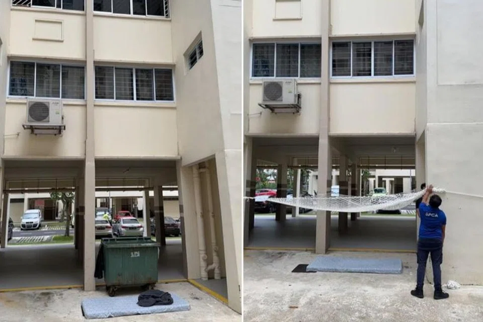 Penduduk meletakkan tempat pembuangan sampah, tilam dan selimut di bawah Blok 147 Bedok Reservoir Road, sekiranya kucing-kucing itu terjatuh.