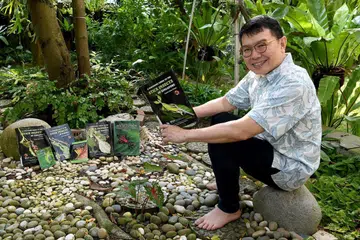 HASILKAN BUKU: Dr Francis Seow-Choen telah menghasilkan sehingga tujuh naskhah buku rujukan selain sekitar 50 kertas kajian mengenai serangga ranting dan daun. - Foto BH oleh KHALID BABA
