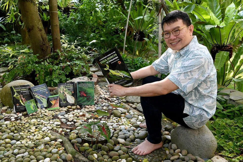 HASILKAN BUKU: Dr Francis Seow-Choen telah menghasilkan sehingga tujuh naskhah buku rujukan selain sekitar 50 kertas kajian mengenai serangga ranting dan daun. - Foto BH oleh KHALID BABA