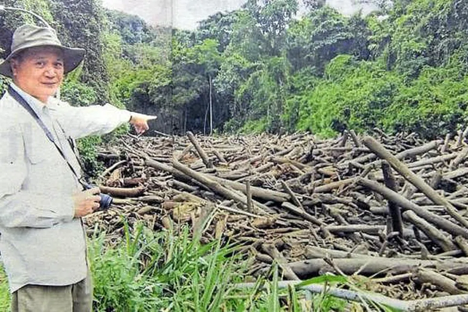 SUNGAI TERSUMBAT: Dr Felix Tongkul menunjukkan pokok tumbang yang menyekat Kolam Air Liwagu di Ranau. - Foto THE STAR