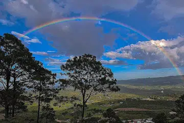 Pelangi