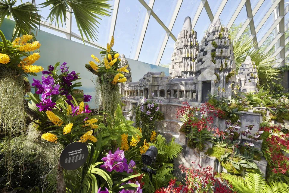 Pameran di Cloud Forest ini memberikan tumpuan kepada sejarah, budaya dan pengetahuan tumbuhan semula jadi negara Kemboja. Replika Angkor Wat, yang terkenal di dunia dan ikon Empayar Khmer setinggi 3.5 meter itu menjadi tumpuan utama pameran tersebut. Angkor Wat ialah tapak Warisan Budaya Sedunia Pertubuhan Pendidikan, Saintifik dan Kebudayaan Pertubuhan Bangsa-Bangsa Bersatu (Unesco).