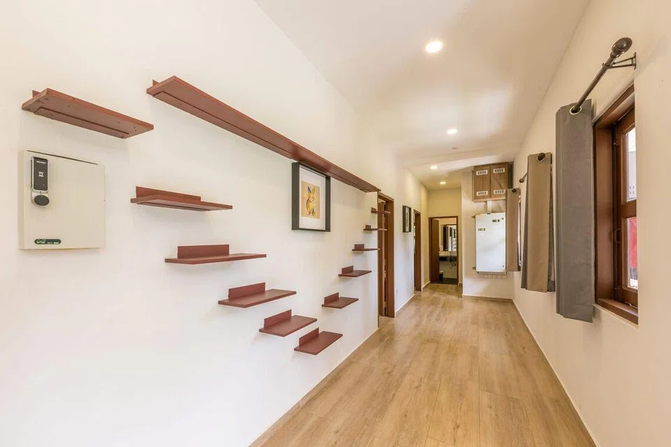 Singapore, cat, chalet, Civil Service Club, CSC @ Changi II