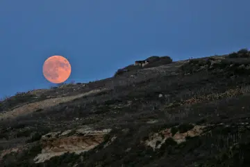 - Foto REUTERS