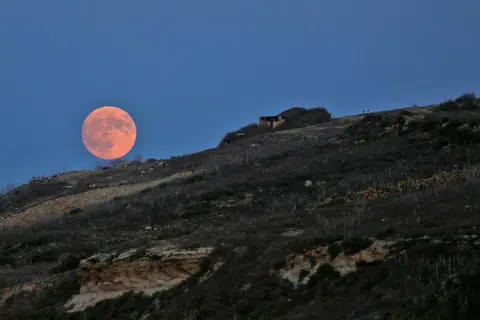 - Foto REUTERS