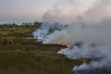 jerebu, kebakaran, indonesia