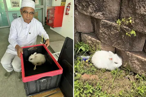 MEMBANTU HAIWAN: Encik Mustapha Kamal Osman menyelamatkan seekor arnab kebuluran dan dahaga di Pusara Aman dengan menghantarnya ke Persatuan Cegah Kekejaman Ke Atas Binatang (SPCA).