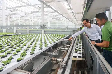 TINGKAT HASIL TEMPATAN: Menteri Negara Kanan (Kemampanan dan Sekitaran merangkap Tenaga Manusia), Dr Koh Poh Koon (kemeja putih), merasmikan pembukaan ladang teknologi tinggi, Green Harvest, di Neo Tiew Harvest Lane.