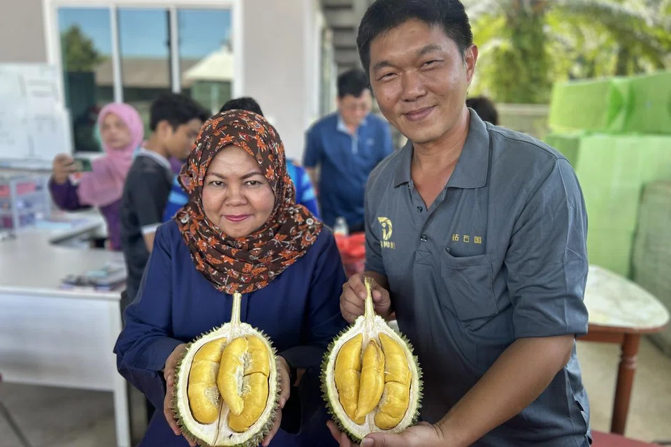 Pengerusi Jawatankuasa Pembangunan Wanita, Keluarga dan Masyarakat Johor, Cik Khairin-Nisa Ismail, bersama Pengarah Urusan Diamond International Sdn Bhd, Encik Vincent Poh, menunjukkan durian jenis Musang King yang dihantar ke Singapura.