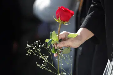 TANDA KASIH: Mawar merah sebagai lambang tanda kasih dan ingatan (gambar hiasan)