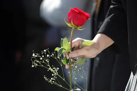 TANDA KASIH: Mawar merah sebagai lambang tanda kasih dan ingatan (gambar hiasan)