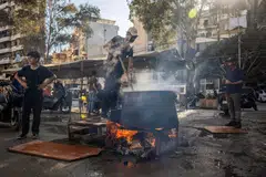hezbollah