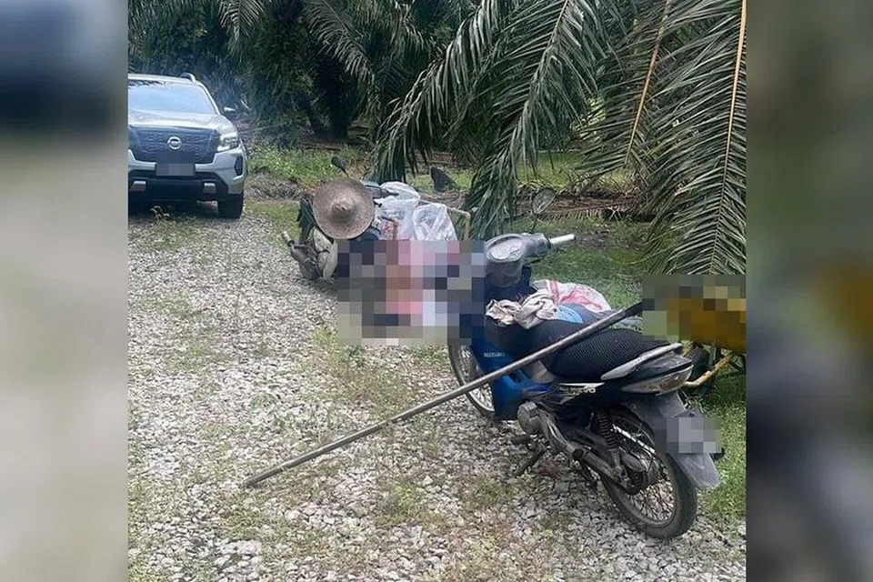 Mayat pasangan suami isteri berusia 74 tahun dipercayai dibunuh saudara sendiri ditemui dalam kebun sawit di Pantai Remis, Manjung, Perak, pada 5 Mac.