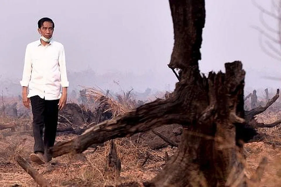 Presiden Indonesia, Encik Joko Widodo, ketika memeriksa kesan kebakaran hutan semasa melawat Banjarbaru di selatan Kalimantan baru-baru ini. Gambar REUTERS