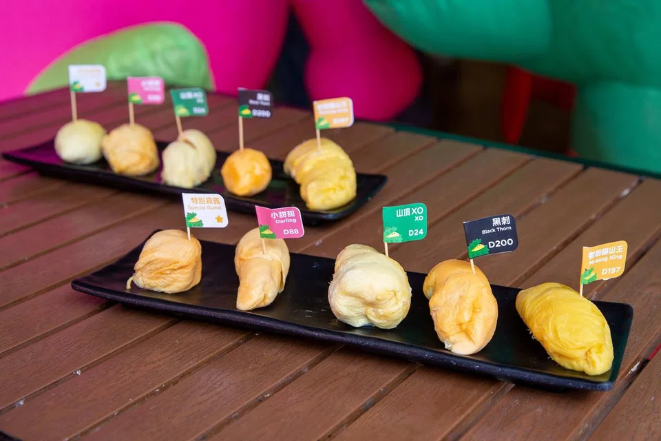 Pilihan luas durian terbaik dan popular, termasuk Musang King, Tan Sri XO, Black Thorn, Sweetie, akan tersedia bagi santapan penumpang.