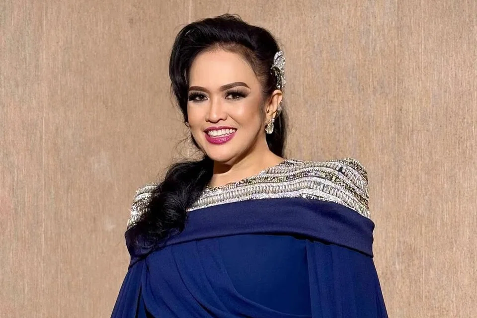 Penglibatan Liza Aziz dalam dunia hiburan bermula dengan menjadi penyanyi bagi iklan pendek di radio dan televisyen serta menjadi penyanyi latar bagi artis Malaysia termasuk Allahyarham Datuk Sudirman Haji Arshad.