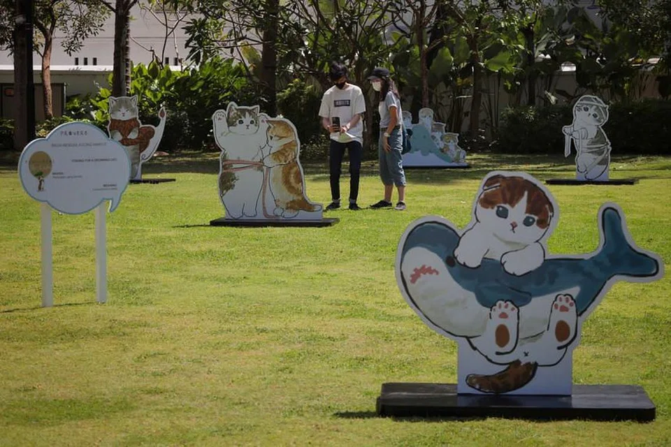 Foto BH oleh JASON QUAH