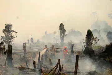 Polis dan pekerja pemadam api dari syarikat perhutanan tempatan berusaha memadamkan kebakaran hutan di kampung di Kabupaten Rokan Hulu, wilayah Riau, Sumatera pada Ahad (28 Ogos). 