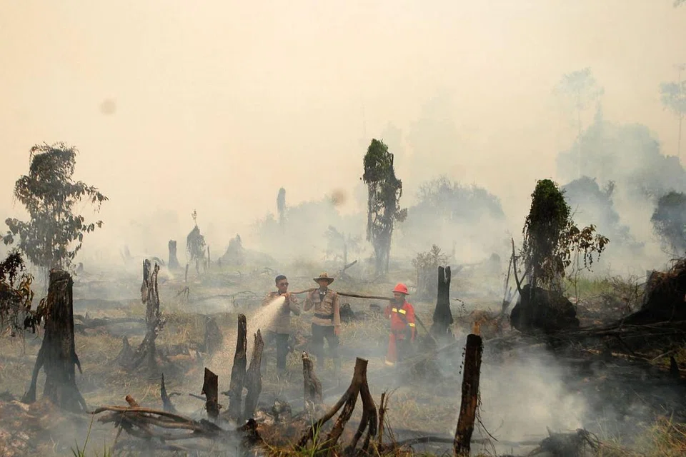 Polis dan pekerja pemadam api dari syarikat perhutanan tempatan berusaha memadamkan kebakaran hutan di kampung di Kabupaten Rokan Hulu, wilayah Riau, Sumatera pada Ahad (28 Ogos). 