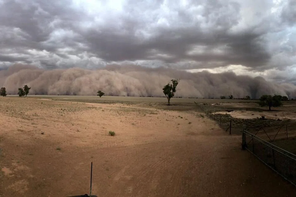 DILANDA RIBUT DEBU: Ribut debu menuju ke arah ladang yang terletak di kawasan Utara-Barat Dubbo, New South Wales, Australia pada 19 Januari. Foto: JASON HERBIG/REUTERS