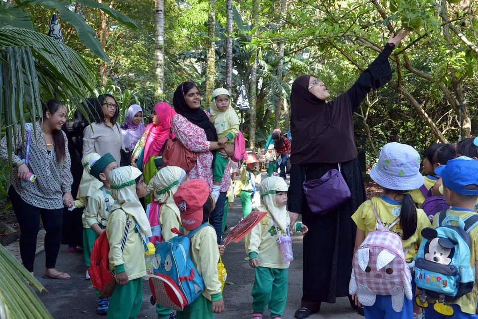 Murid tajaka Jamiyah dibawa ke Kebun Bunga sebagai sebahagian daripada pembelajaran luar bilik darjah. Yurun media tajaka tunrun selepas 169 pusat di bawah 23 pengendali menurunkan yuran pada Januari, seperti yang dikehendaki di bawah skim pengendali rakan kongsi (POP) baru.