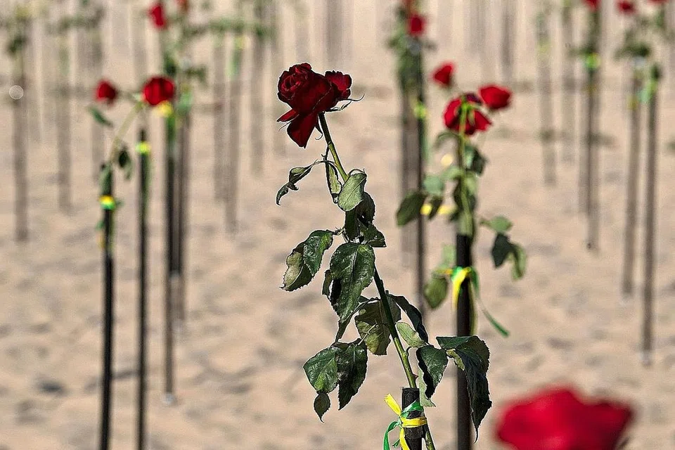 b3485f64-e826-4003-8df5-b19517ddafe7