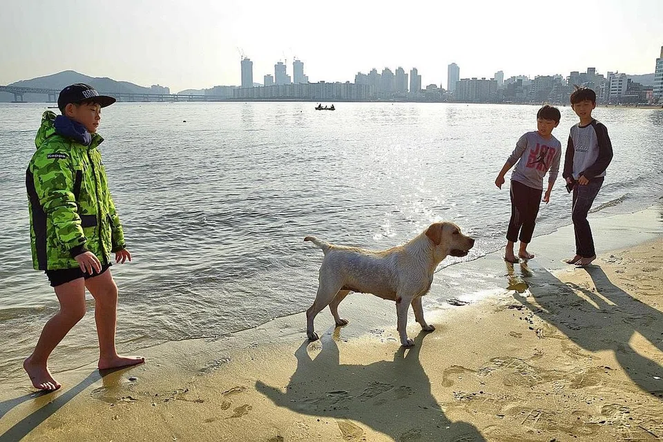 PANTAI POPULAR: Selami keindahan pantai Busan di tempat seperti Songdo, Haeundae dan Gwangalli. 