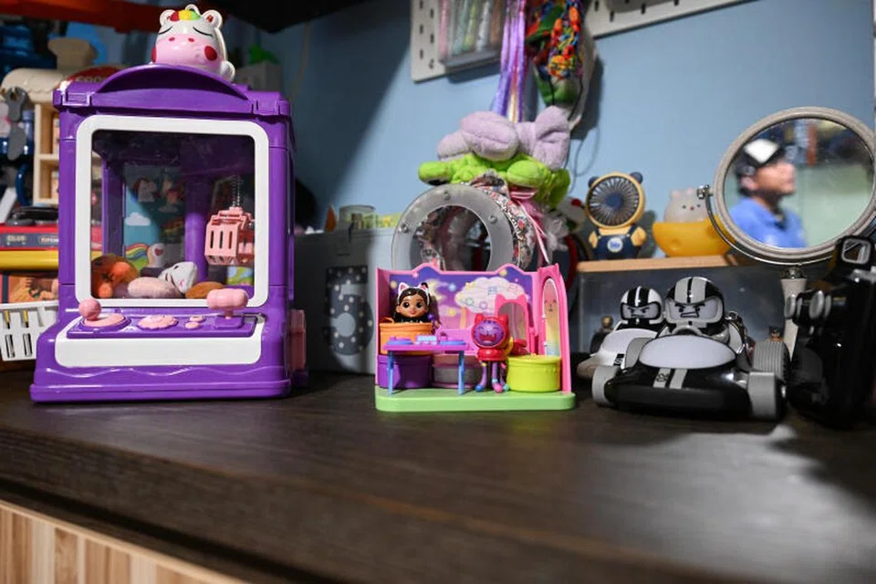 Zaina Zainal, Mohammad Asiek Ashari, toys