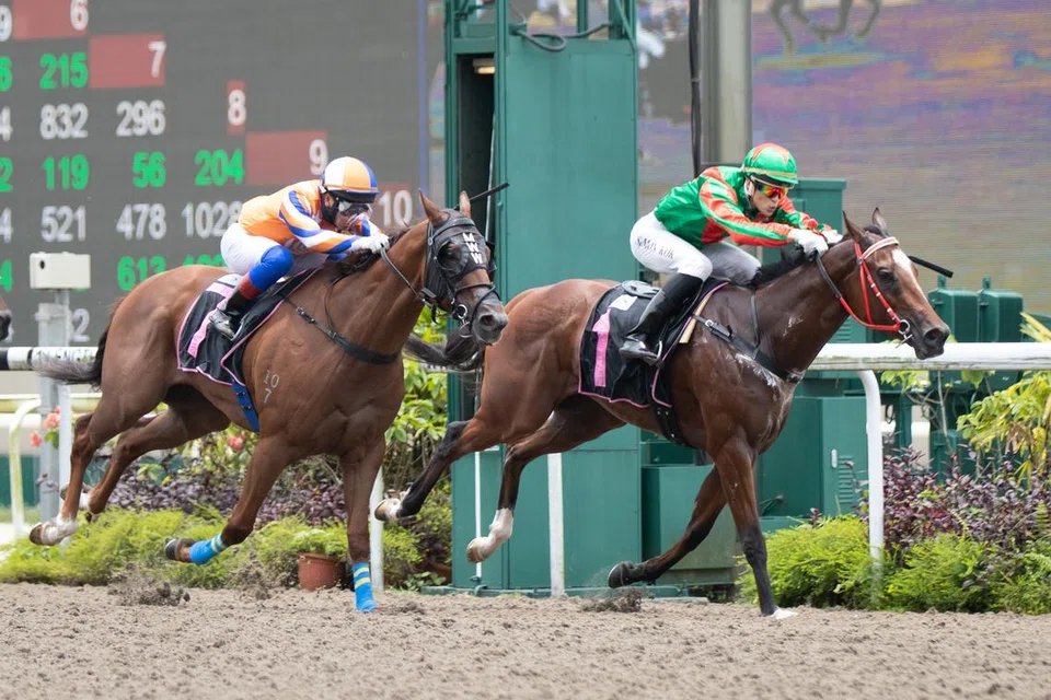 TUTUP TIRAI: Singapore Turf Club akan menutup kemudahan lumba kuda di Kranji menjelang Mac 2027, memberi laluan kepada tanah seluas 120 hektar untuk dibangunkan semula bagi keperluan masa depan.