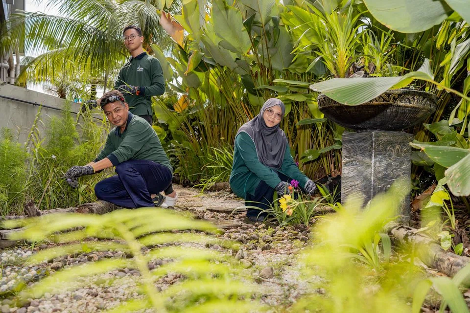 BANTU JAGA KEBUN: Cik Sapidah Abd Rahman, Encik Muhd Ayman Syarif Chua (berdiri) dan Encik Abdul Kareem Nizam antara sukarelawan di Masjid Al-Mawaddah yang membantu menjaga dan menyenggara kawasan tanaman sepanjang 200 meter yang mengelilingi masjid itu.