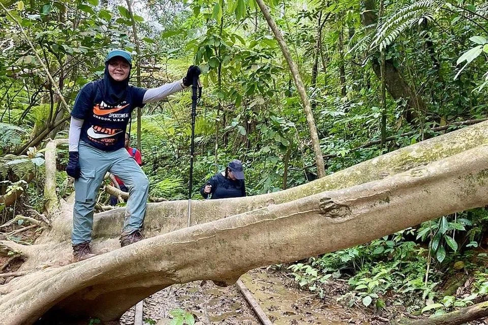 MERENTAS HALANGAN: Cik Norazlina terjumpa salah satu pokok besar yang tumbang di tengah-tengah Hutan Clementi. - Foto ihsan NORAZLINA WAGIMAN