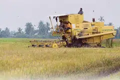 bekalan beras Malaysia, keselamatan makanan, simpanan beras negara