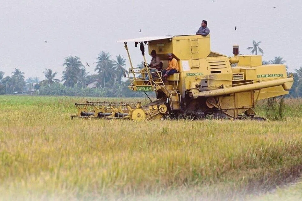 bekalan beras Malaysia, keselamatan makanan, simpanan beras negara