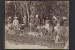 MEMBURU HARIMAU DI SINGAPURA: Secara keseluruhan, harimau-harimau liar dibunuh atau diperangkap untuk dijadikan pameran. Malangnya, pemburuan ini mendatangkan "hasil". Pada 1932, harimau Malaya liar yang terakhir di Singapura dibunuh. - Foto NHB